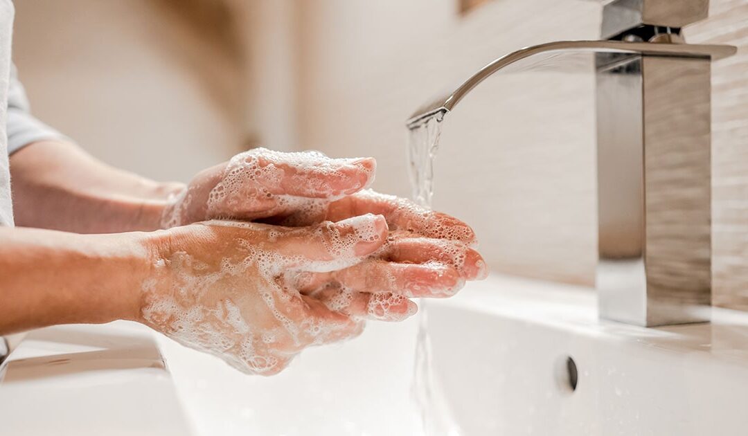 Dial Gold Antibacterial Liquid Hand Soap