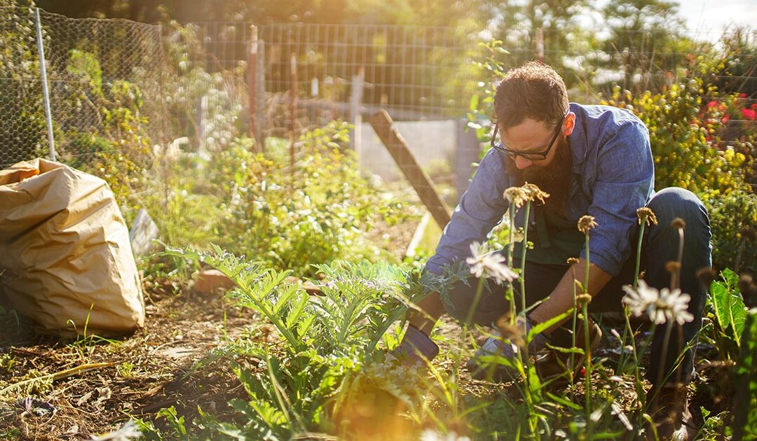 Best Ways to Recharge After Work